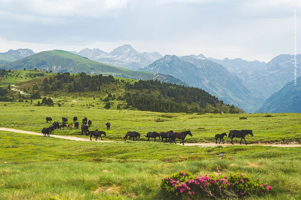 Paysage d'Ariège